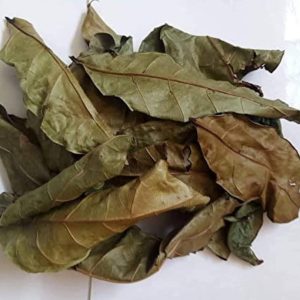 Feuilles d'hysope à 1000Fcfa Dakar