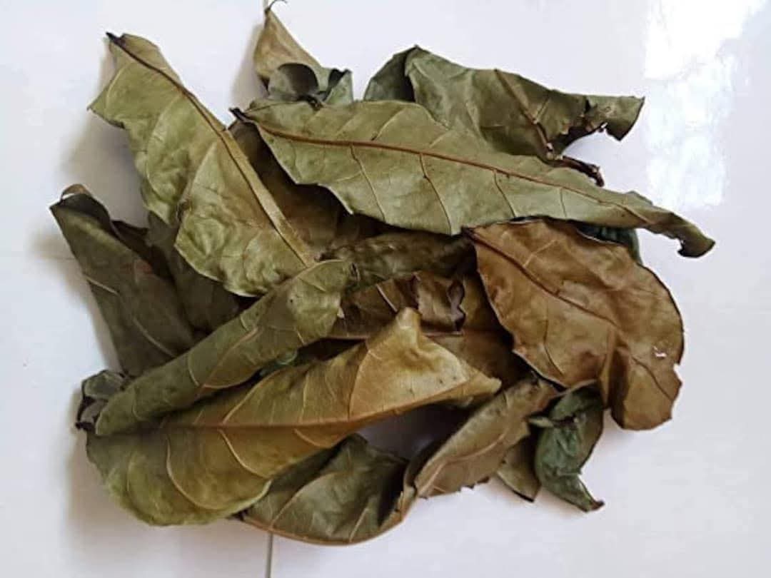 Feuilles d'hysope à 1000Fcfa Dakar